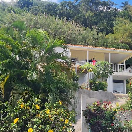 Villa Zephyr Domaine Roses Des Vents Sainte-Marie Εξωτερικό φωτογραφία